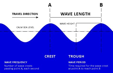 How is a wave formed? Understanding swell and surf forecasts