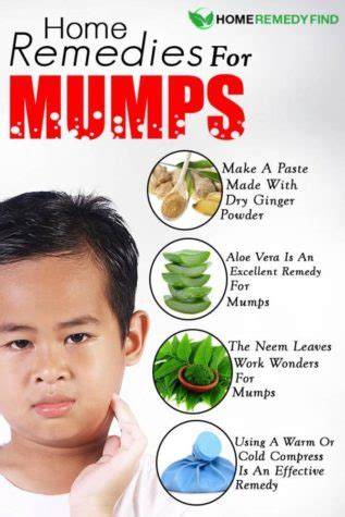 Mumps Outbreak Reached High in Texas – The Claw