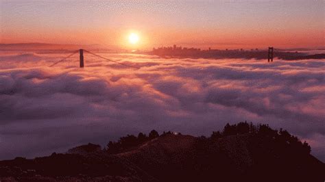 Foggy GIF - Find & Share on GIPHY