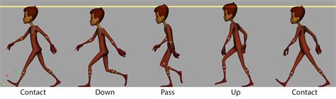 Ways To Make Walk Cycle In Animation A Brief Discussion