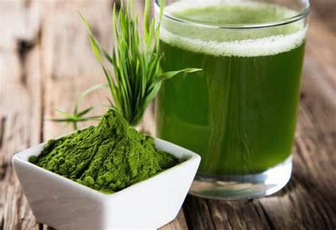 7 Benefits of Spirulina for Health