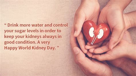 Happy World Kidney Day 2020! Check Activities And Quotes For This Day ...