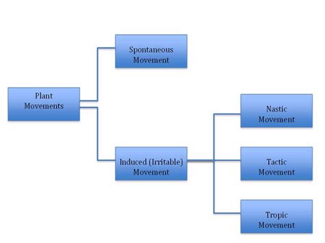 BIOLOGY: FORM THREE: Topic 2 - MOVEMENT - MSOMI BORA