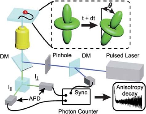 Time-resolved fluorescence polarization microscopy on a homebuilt ...