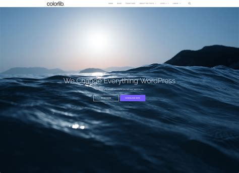 35 Awesome & Free Responsive WordPress Themes 2020 - Colorlib