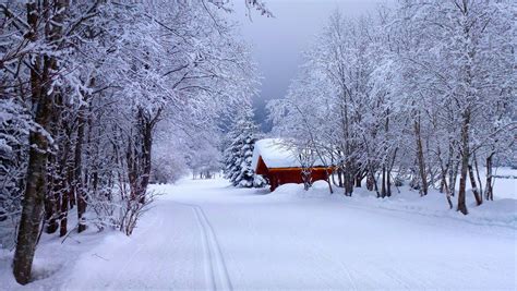 Snowy Road Winter Landscape Wallpapers - Wallpaper Cave