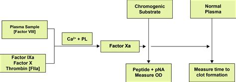 2-Stage Factor VIII Assays