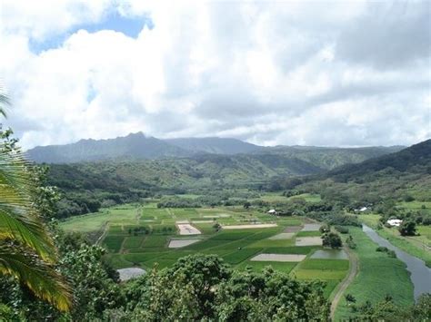 Hanalei Valley Lookout - All You Need to Know BEFORE You Go - Updated ...