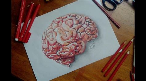 Brain simple drawing - lifelasopa