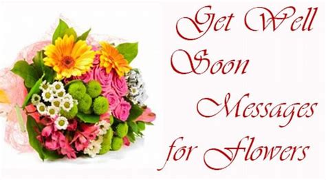 Which Flowers For Get Well Soon - Get Well Soon Flowers Images Stock ...