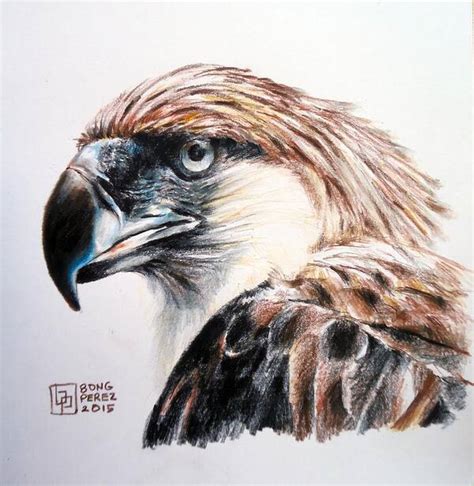 Philippine eagle Art Print by Bong Perez - Bong Perez Official Website