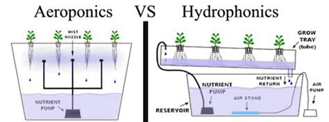 Aeroponics vs Hydrophonics | Aquaponics, Aeroponics, Hydroponics