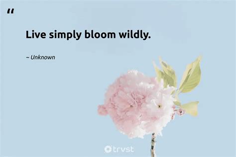 Flower Quotes