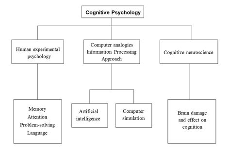 Cognitive Approach In Psychology