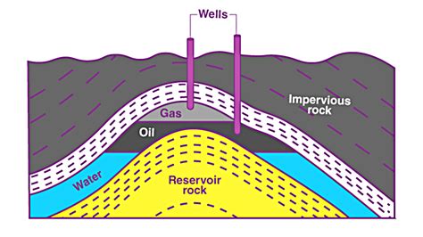 Petroleum Formation