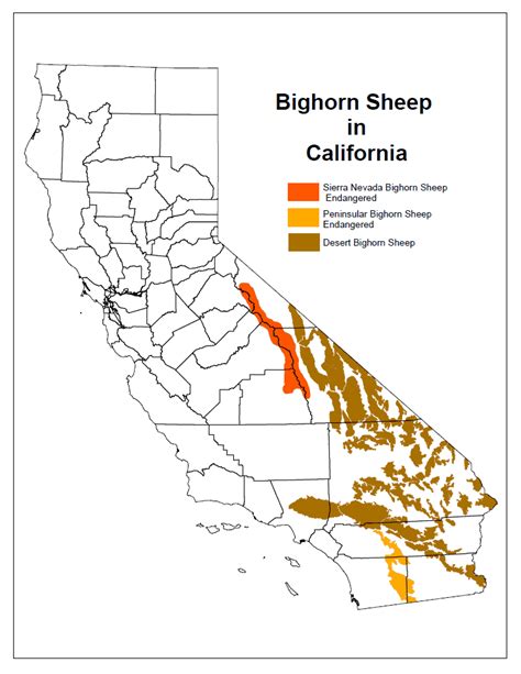 Desert Bighorn Sheep Range Map - Daune Eolande