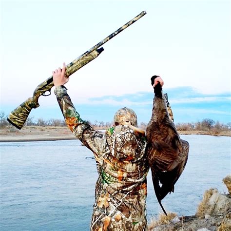 Goose Hunting: What to Expect and How to Prepare