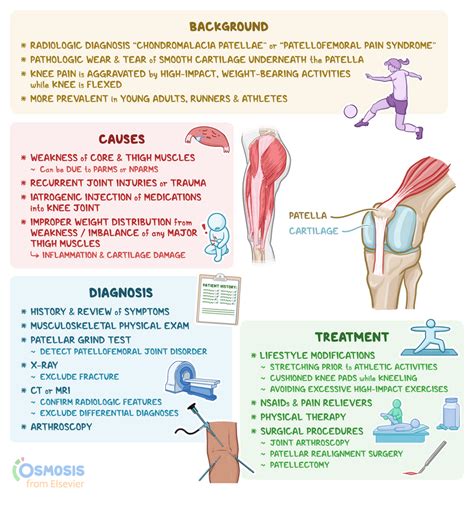 Chondromalacia Patellae: What It Is, Causes, Signs and Symptoms, and ...