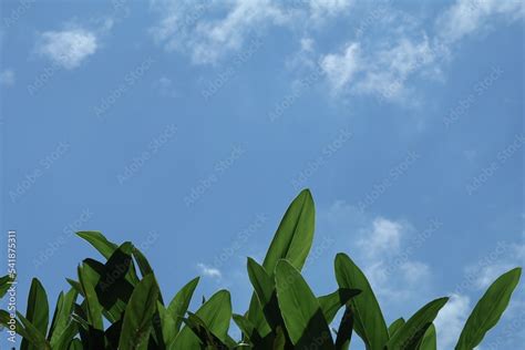 beauty of nature with clouds and sky Stock Photo | Adobe Stock