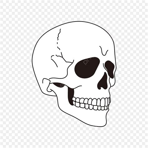 Skull Vector Hd Images, Flat Black And White Skull Clipart Skull ...