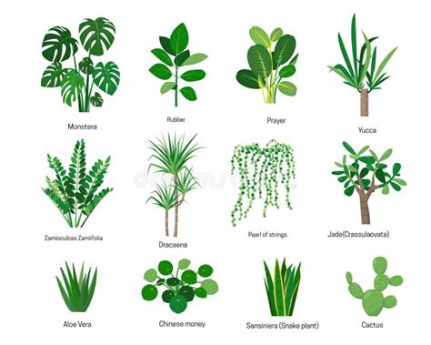 Plants A To Z: Find Plant Names By Letter, 51% OFF