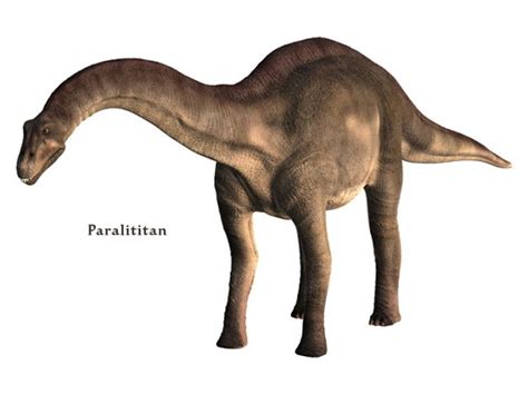 Paralititan Pictures & Facts - The Dinosaur Database