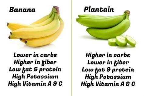 What's The Difference Between Bananas And Plantains?