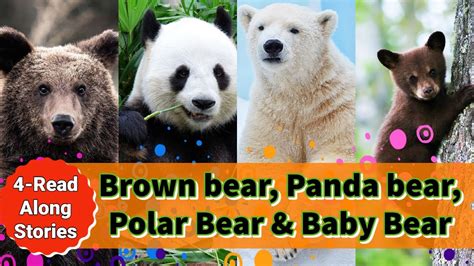 Brown bear, Panda bear, Polar bear & Baby bear! | Read Along Stories ...