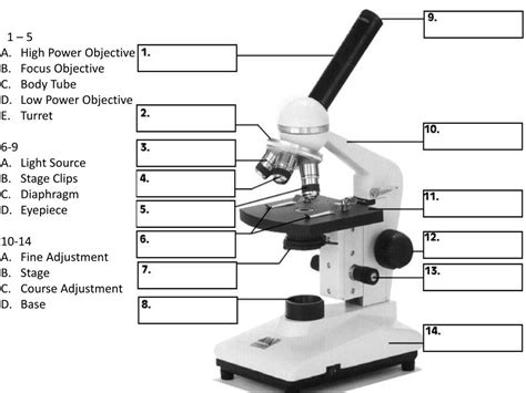 PPT - 1 – 5 High Power Objective Focus Objective Body Tube Low Power ...