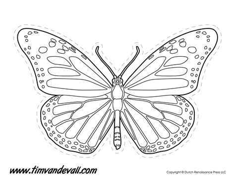 Monarch Butterfly Outline - Tim's Printables