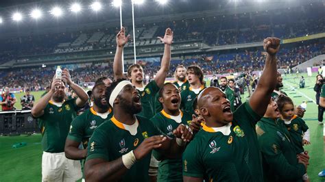 Rugby World Cup: South Africa Edges Wales to Reach Final - The New York ...