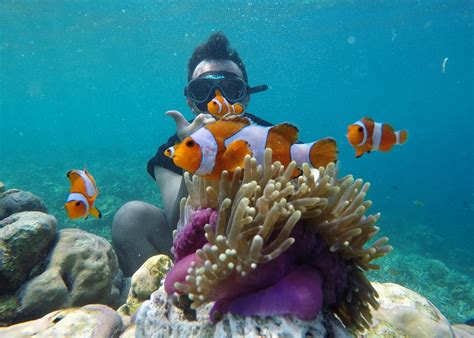 Adventure - Snorkeling Pulau Pahawang