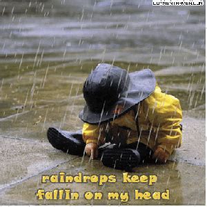 Memes Funny Rain Quotes - ShortQuotes.cc