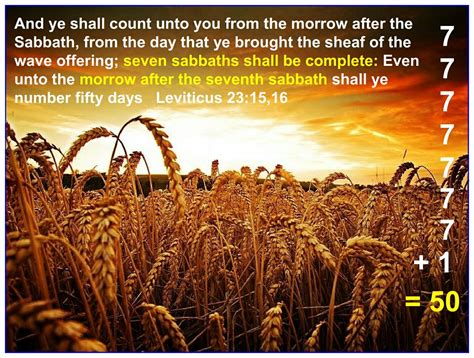 Shavuot 119 Ministries, Leviticus 23, Feasts Of The Lord, Israel Today ...