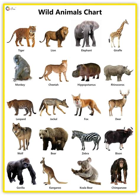 Wild Animals: Facts | Pictures | Videos | Chart - Ira Parenting | Wild ...