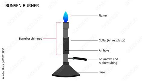 Diagram of a Bunsen burner with labelled parts Stock Vector | Adobe Stock