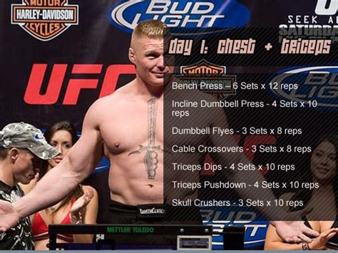 Professional Fighter Brock Lesnar and His Workout Routine, Diet