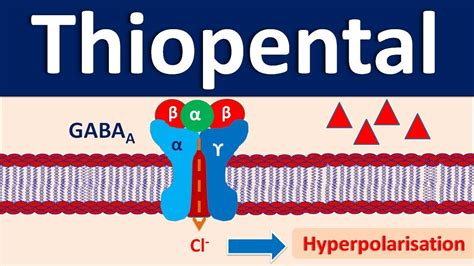 Thiopental - An IV anesthetic - YouTube