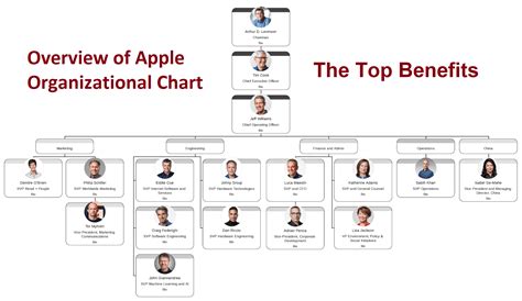 A Comprehensive Analysis of Apple Organizational Chart