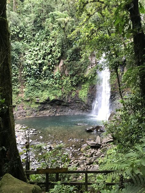 Hidden waterfall in Guadeloupe : r/travel