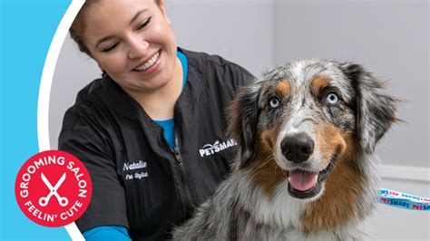 PetSmart Pet Grooming Locations - Woodinville, Washington