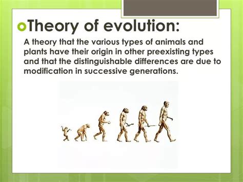 PPT - Theory of evolution: PowerPoint Presentation, free download - ID ...