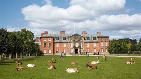 Dunham Massey's deer park | G. Manchester | National Trust