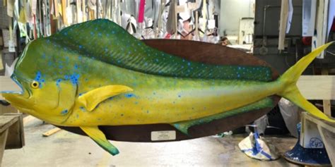 Gray Taxidermy fish mounts and fish replicas | Gone Fishing - Blog