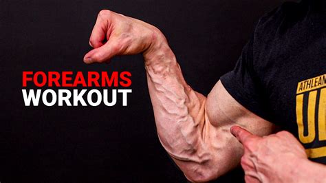 Forearm Workouts - Best Exercises for Muscle And Strength