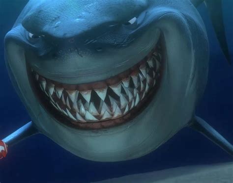 Bruce The Shark From Nemo - pic-mullet