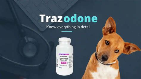 Trazodone Hydrochloride for Dogs and Cats – The Veterinary Medicine