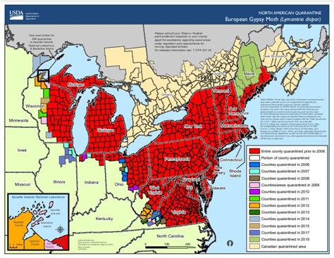 Gypsy Moths In North America | FreightCenter