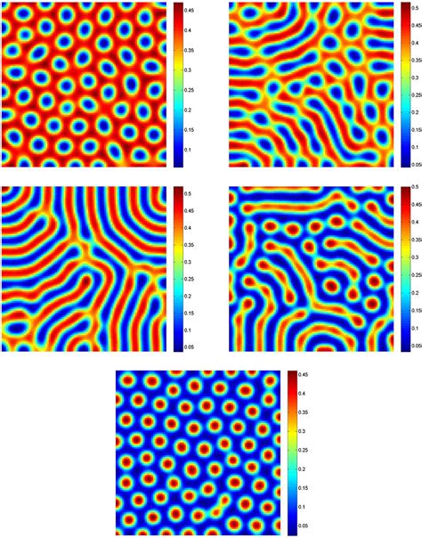 [SOLVED] Turing patterns ~ Mathematica ~ AnswerBun.com