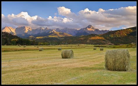 farm living is the life for me | Photography tips, Advanced photography ...